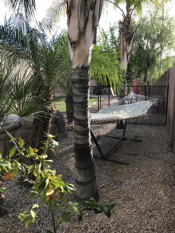 2977 E Clifton Ave, Gilbert, AZ 85295 photo 5