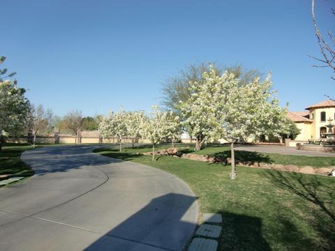 1929 N 24th St, Mesa, AZ 85213 photo 34