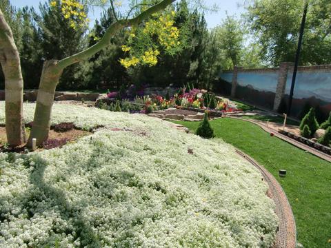 1929 N 24th St, Mesa, AZ 85213 photo 39