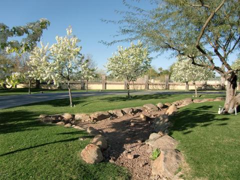 1929 N 24th St, Mesa, AZ 85213 photo 31