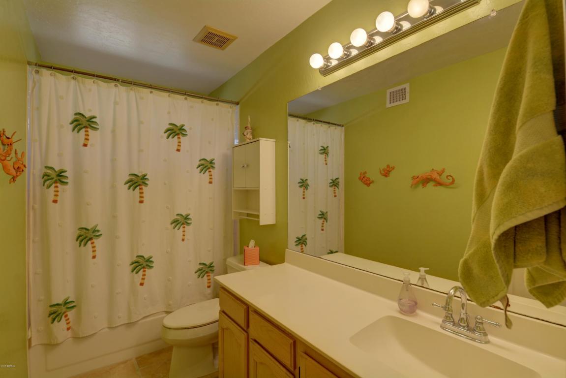 4523 E Michelle Dr, Phoenix, AZ 85032 photo 24