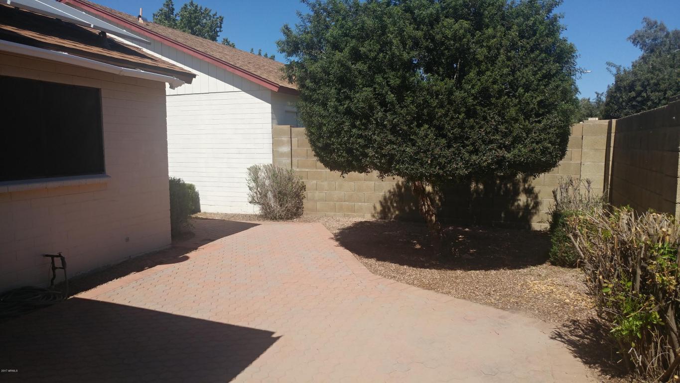 6335 E Brown Rd #1123, Mesa, AZ 85205 photo 17
