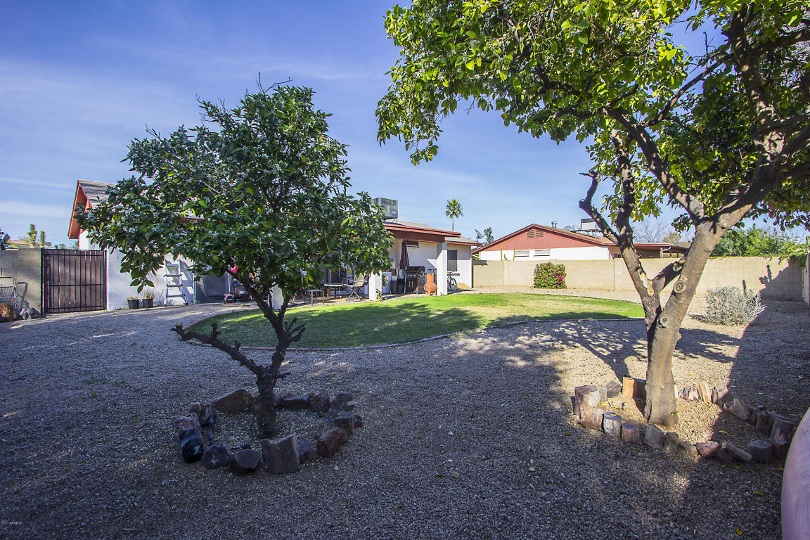 4033 E Janice Way, Phoenix, AZ 85032 photo 13