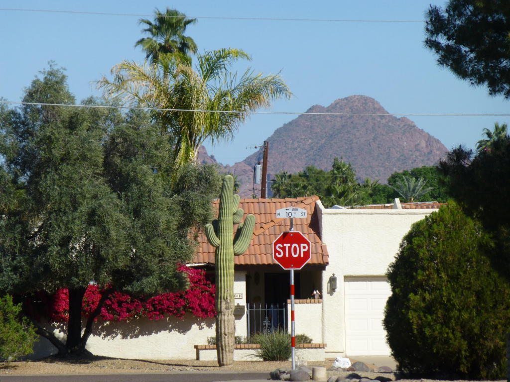 922 E Rovey Ave, Phoenix, AZ 85014 photo 33