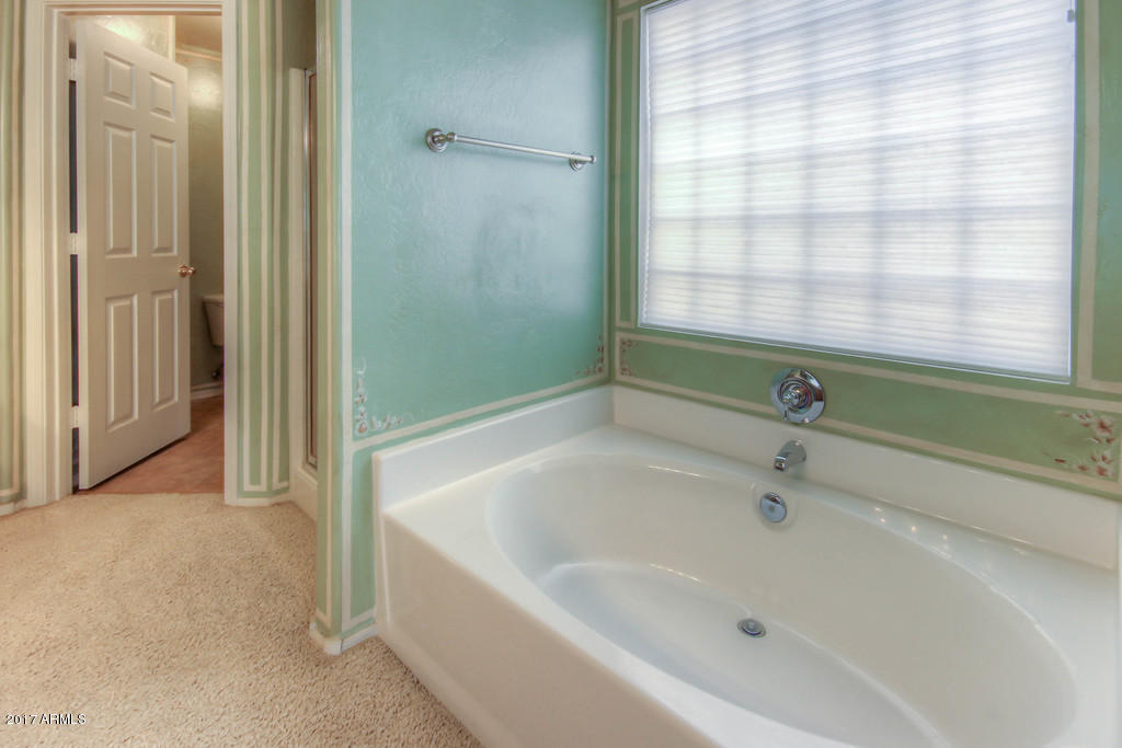 10460 E Diamond Ave, Mesa, AZ 85208 photo 19