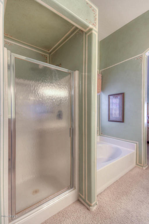 10460 E Diamond Ave, Mesa, AZ 85208 photo 20