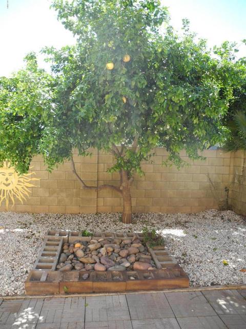 4741 E Saint John Rd, Phoenix, AZ 85032 photo 6
