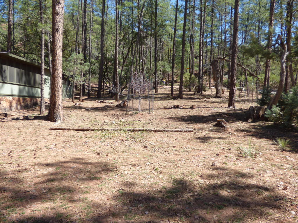 5698 W Cedar Meadow Ln, Pine, AZ 85544 photo 38