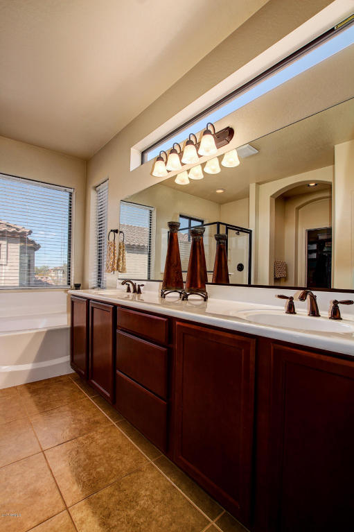 8636 E Inca St, Mesa, AZ 85207 photo 32
