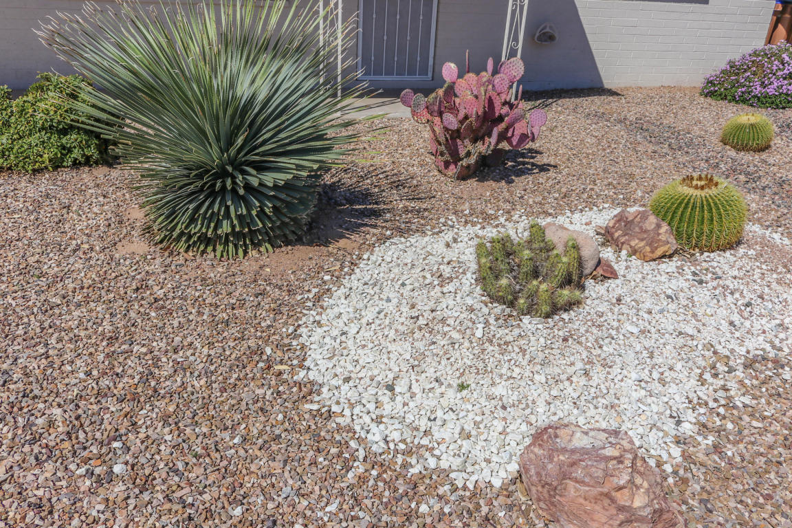 1240 S Lawther Dr, Apache Junction, AZ 85120 photo 4