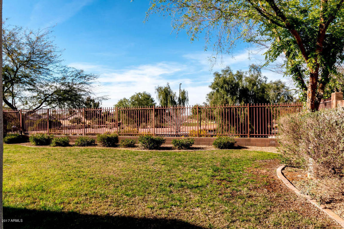 3736 E Vallejo Dr, Gilbert, AZ 85298 photo 16