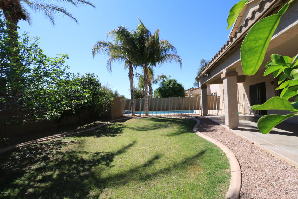 1441 E Lowell Ave, Gilbert, AZ 85295 photo 13