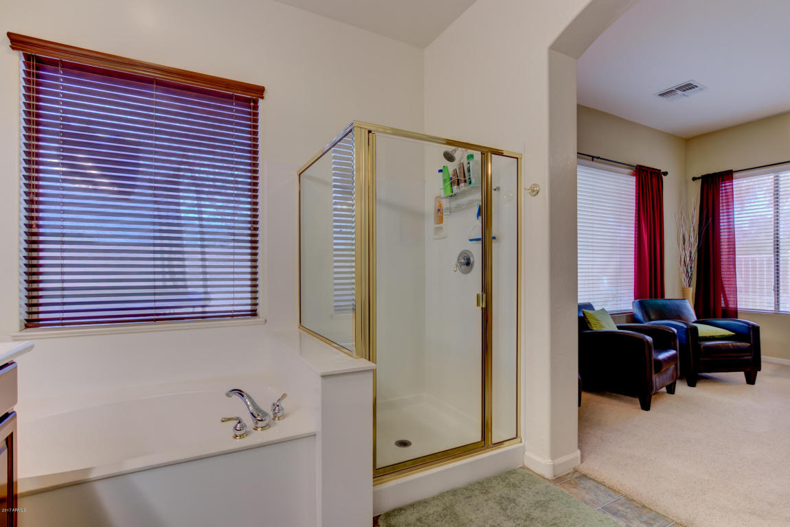4168 E Patrick St, Gilbert, AZ 85295 photo 29