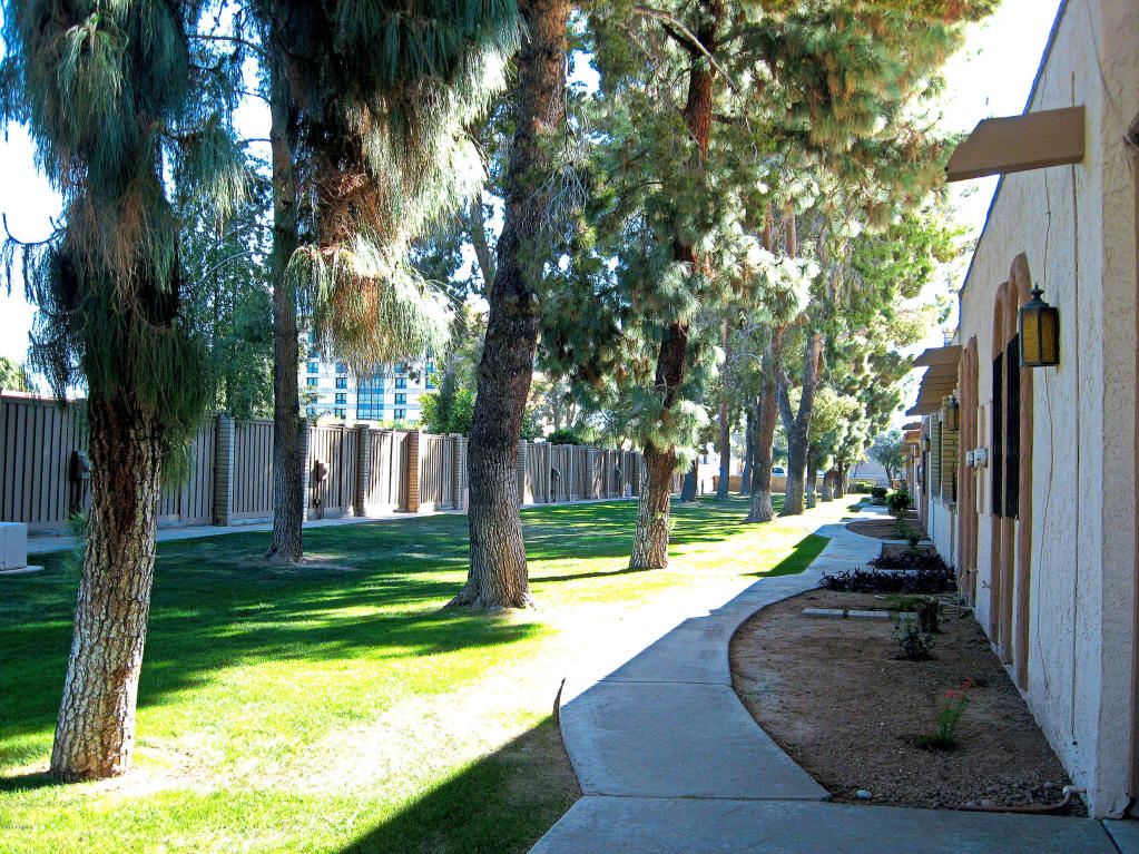 954 N Date --, Mesa, AZ 85201 photo 1