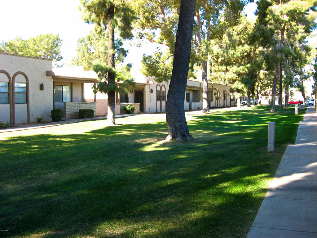 954 N Date --, Mesa, AZ 85201 photo 5
