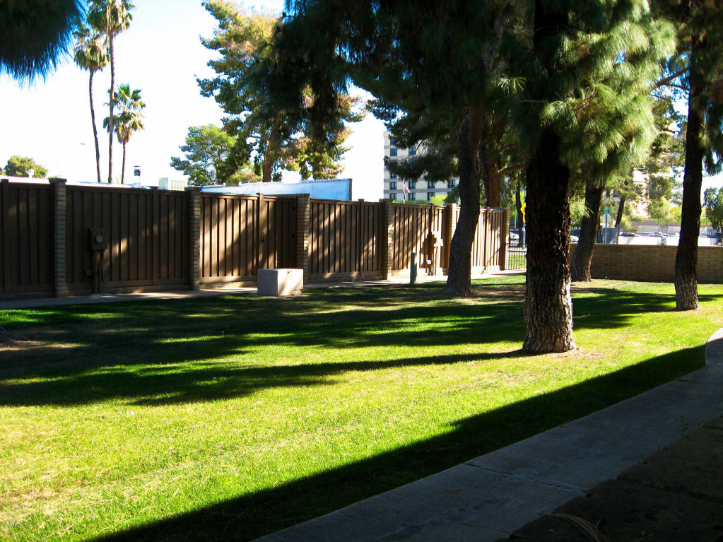 954 N Date --, Mesa, AZ 85201 photo 2