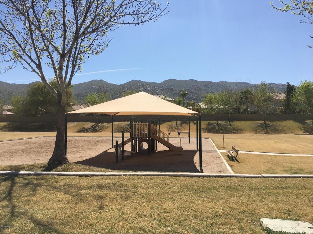 1118 E Beth Dr, Phoenix, AZ 85042 photo 66