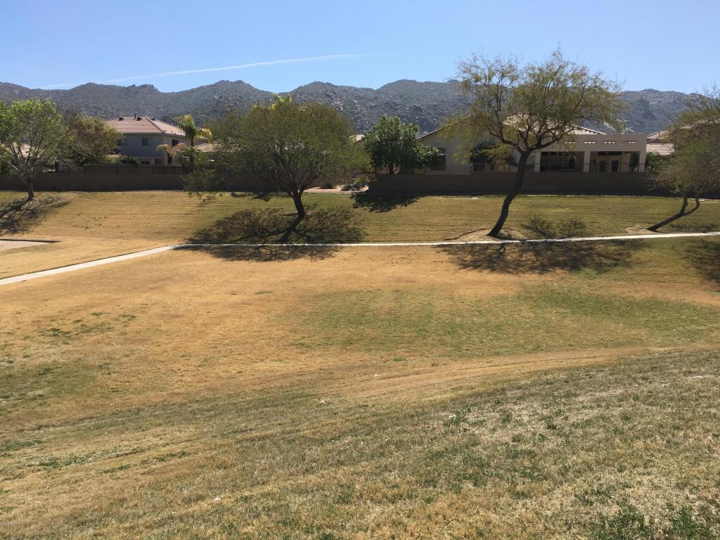 1118 E Beth Dr, Phoenix, AZ 85042 photo 68
