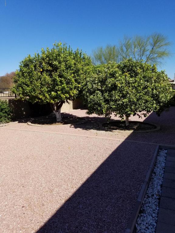 4728 E Ahwatukee Dr, Phoenix, AZ 85044 photo 6