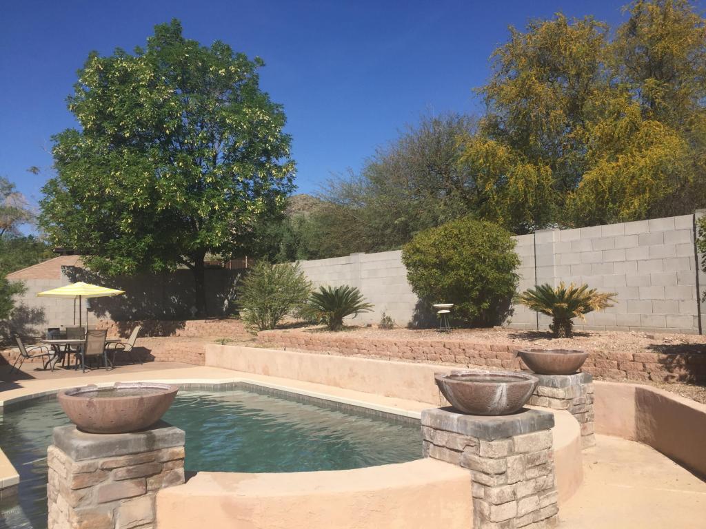 4446 E Olney Dr, Phoenix, AZ 85044 photo 11