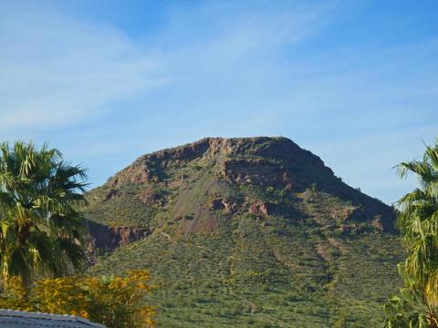 1720 E Sheena Dr, Phoenix, AZ 85022 photo 10
