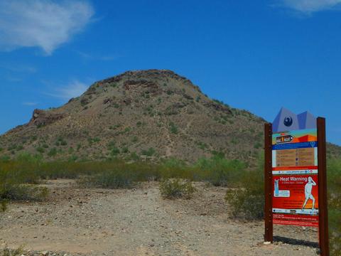1720 E Sheena Dr, Phoenix, AZ 85022 photo 38