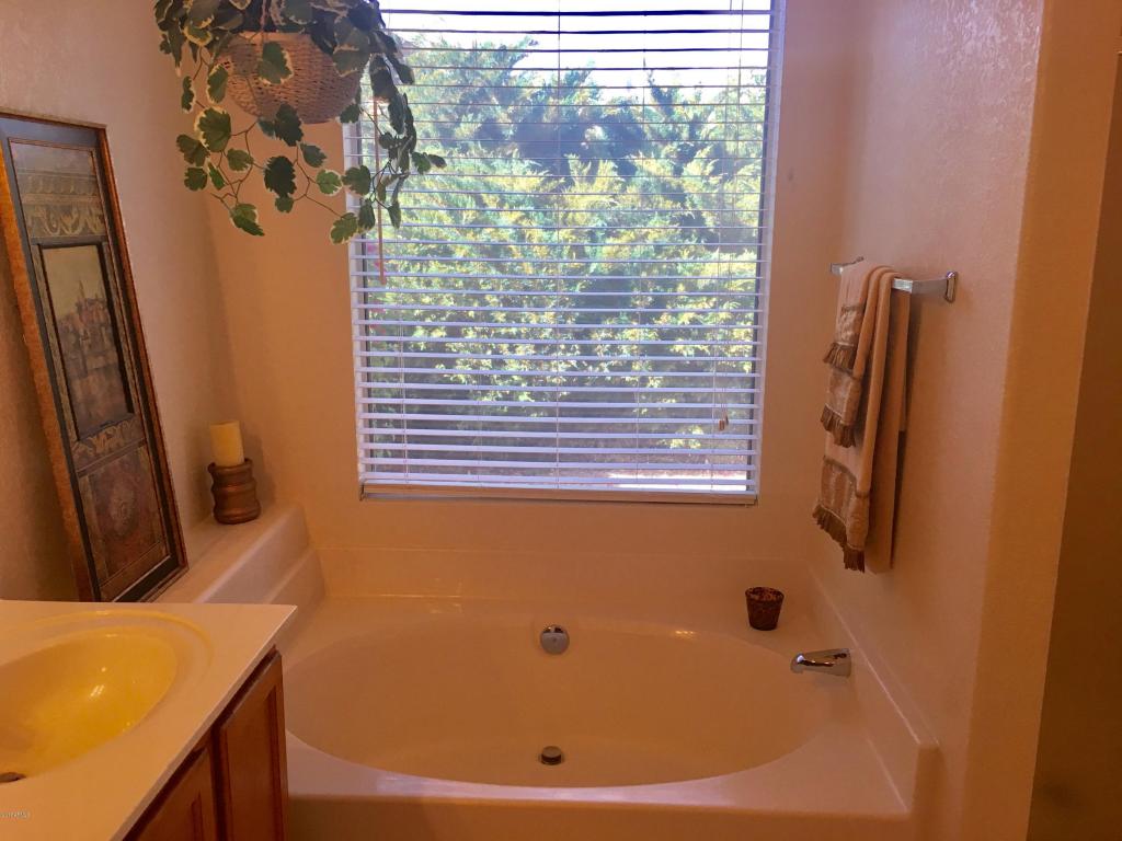 3144 E Siesta Ln, Phoenix, AZ 85050 photo 28
