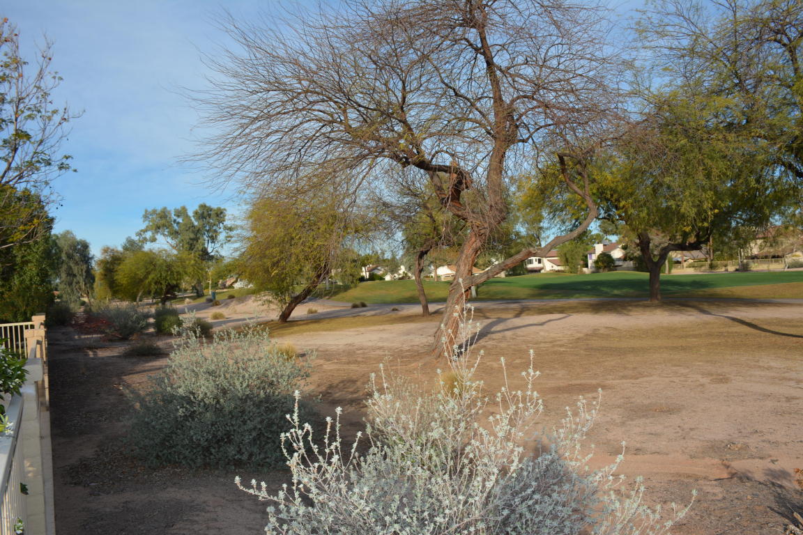 5462 E Fairfield St, Mesa, AZ 85205 photo 7