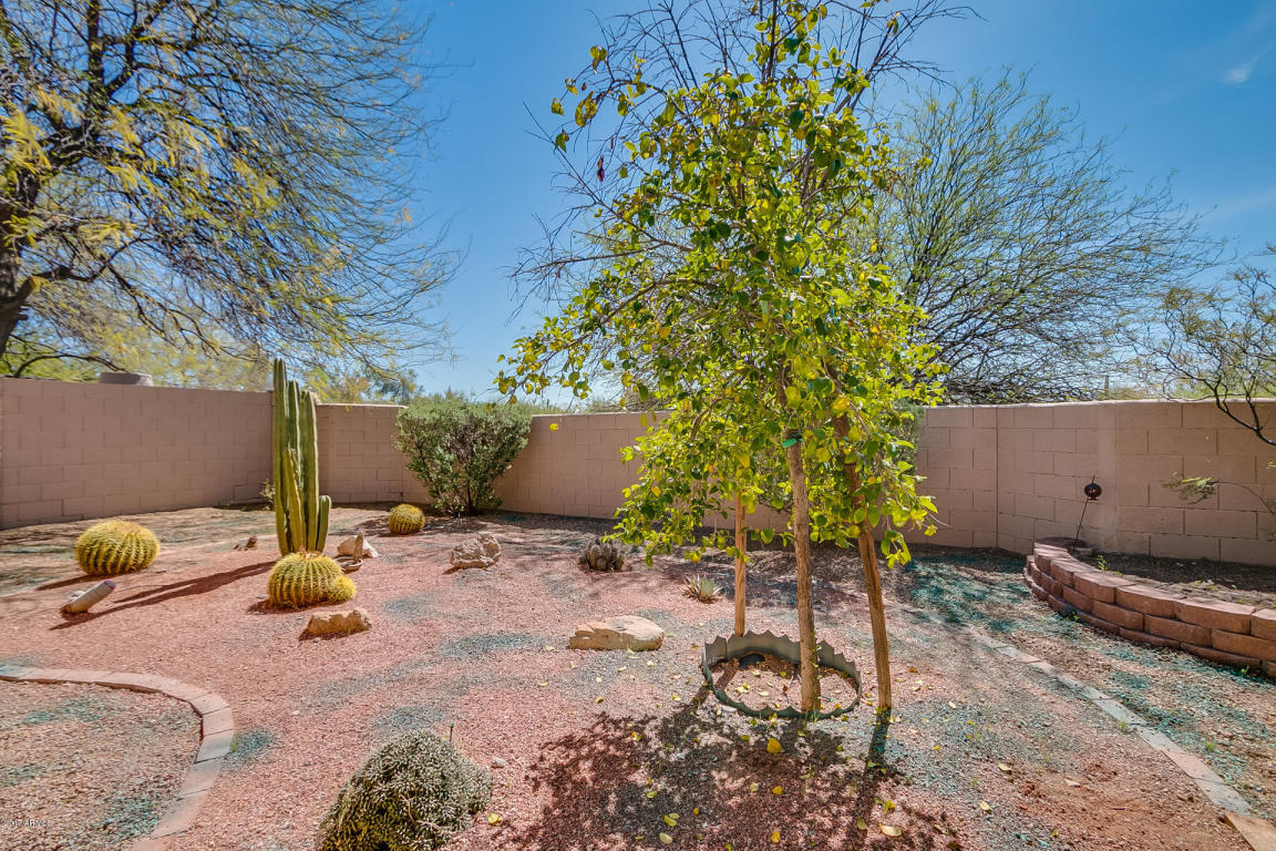 4235 E Cascalote Dr, Cave Creek, AZ 85331 photo 26