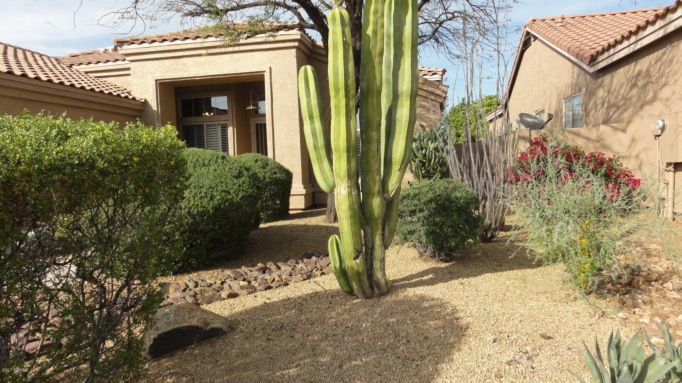 4326 E Swilling Rd, Phoenix, AZ 85050 photo 21