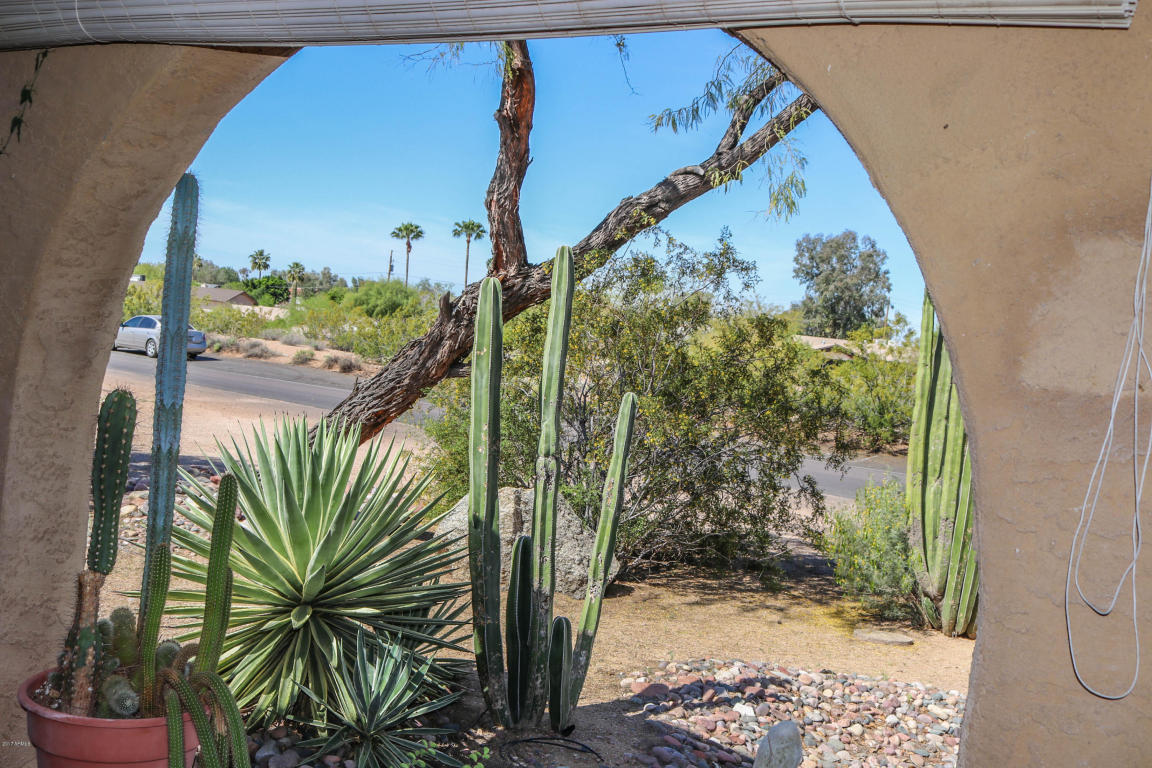 6431 E Holly Dr, Mesa, AZ 85215 photo 42
