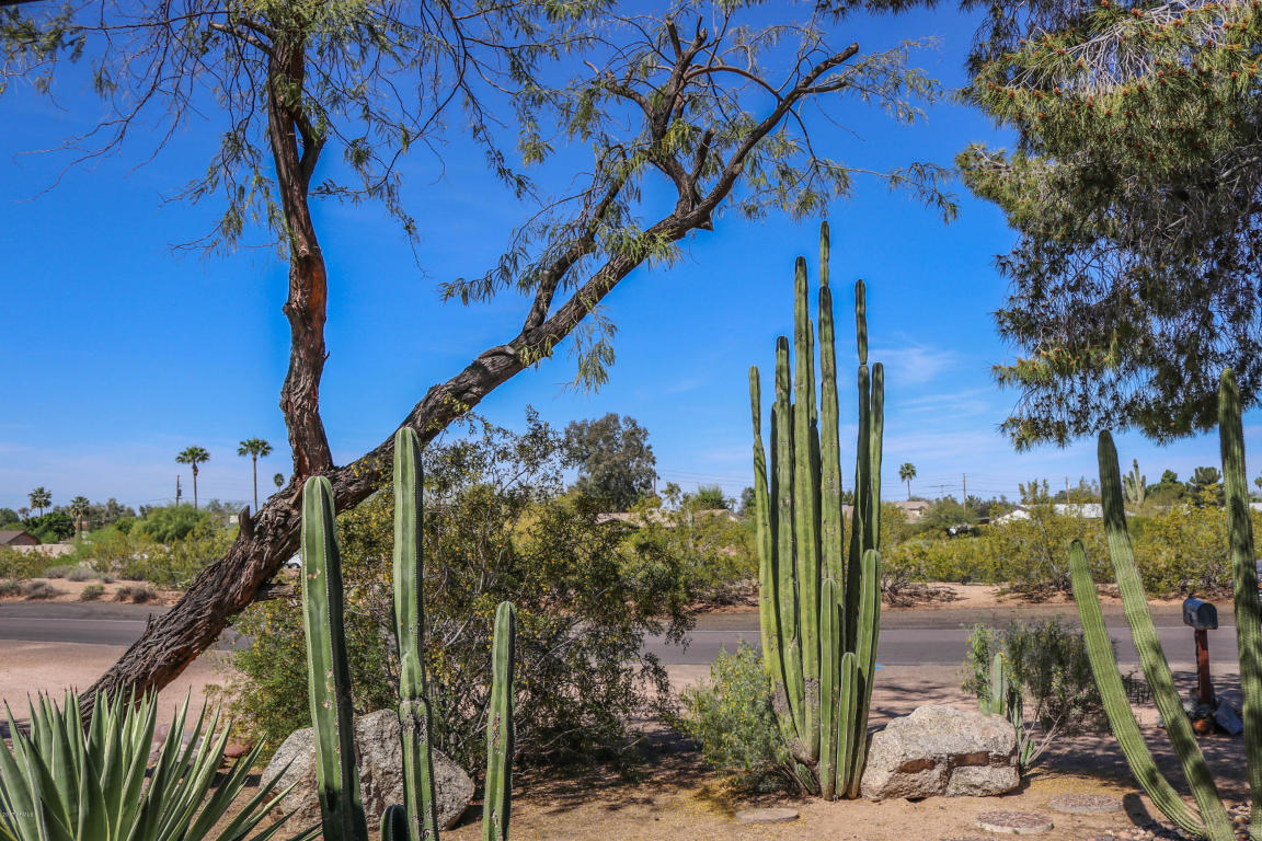 6431 E Holly Dr, Mesa, AZ 85215 photo 41