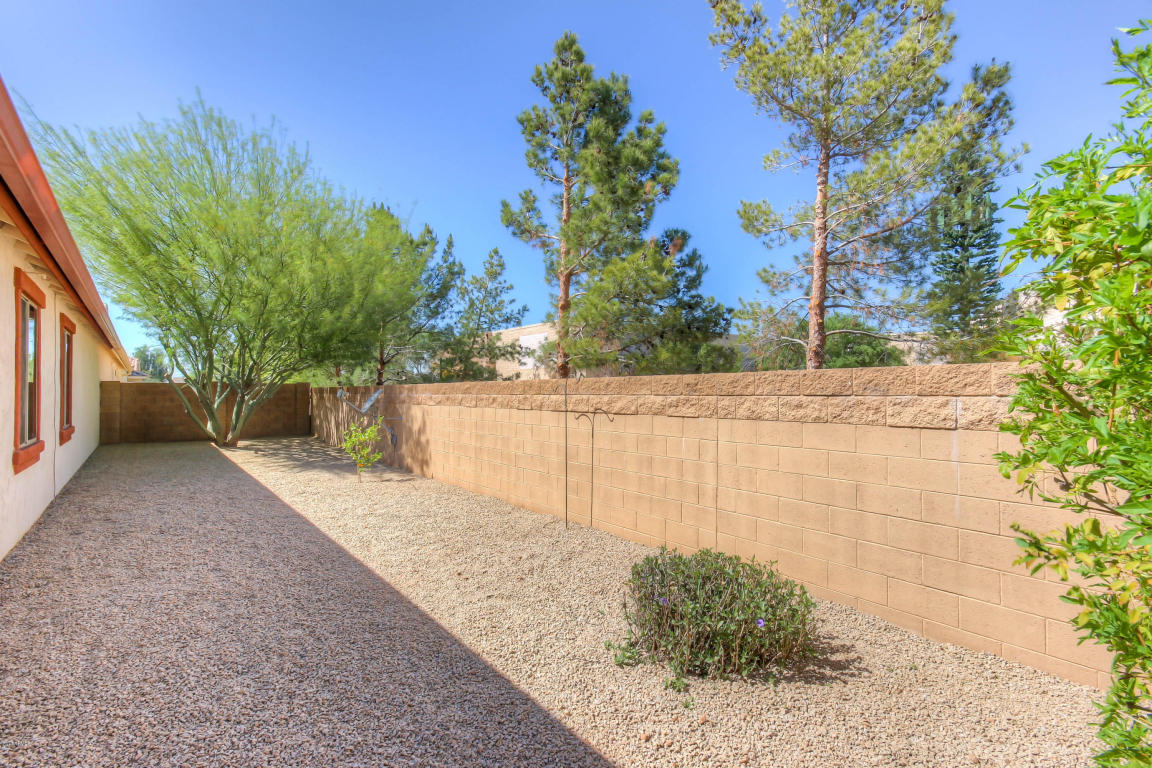 842 E Stottler Dr, Gilbert, AZ 85296 photo 27