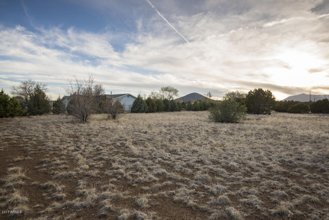 9530 E Stetson Dr, Flagstaff, AZ 86004 photo 11