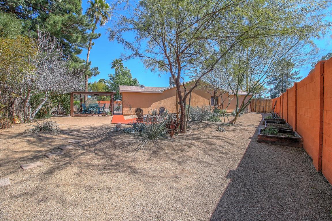3920 E Pershing Ave, Phoenix, AZ 85032 photo 26
