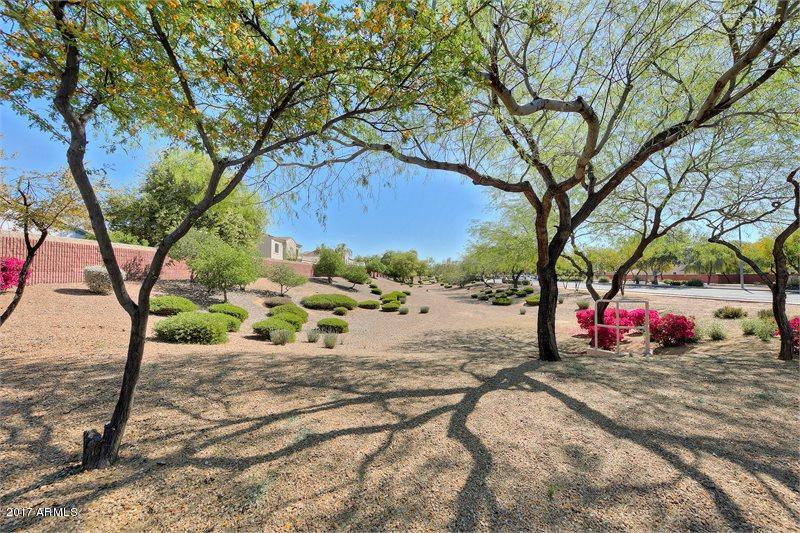 10417 E Jacob Ave, Mesa, AZ 85209 photo 20