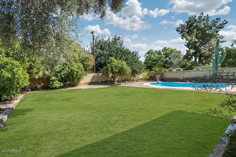 8027 N 3rd Ave, Phoenix, AZ 85021 photo 20