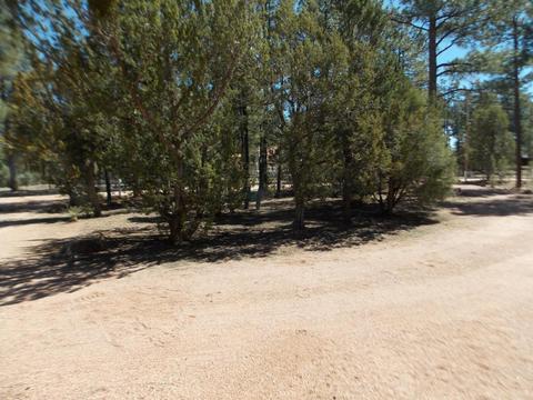 2856 Deer Trl, Overgaard, AZ 85933 photo 9