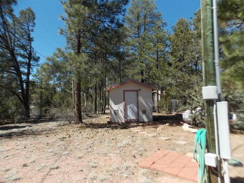 2856 Deer Trl, Overgaard, AZ 85933 photo 13