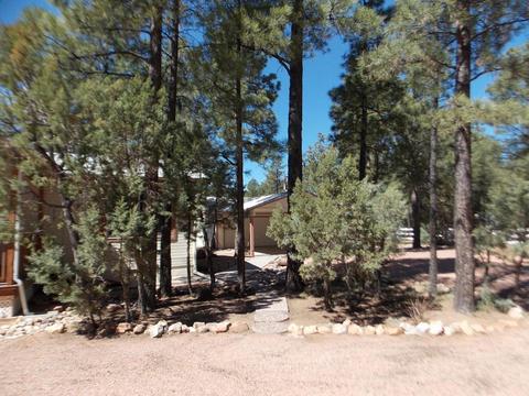2856 Deer Trl, Overgaard, AZ 85933 photo 2