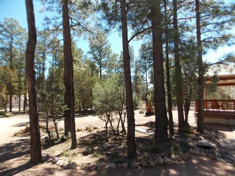2856 Deer Trl, Overgaard, AZ 85933 photo 8