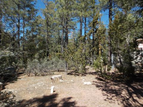 2856 Deer Trl, Overgaard, AZ 85933 photo 38