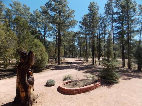 2856 Deer Trl, Overgaard, AZ 85933 photo 15