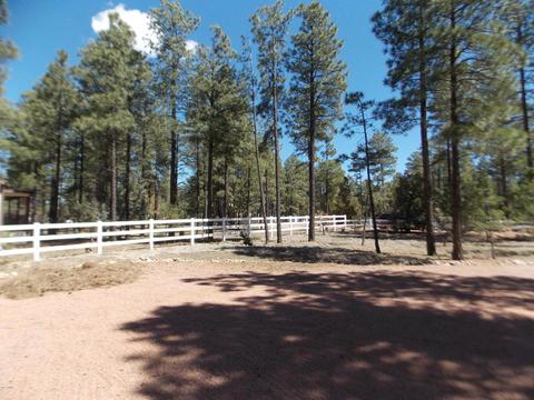 2856 Deer Trl, Overgaard, AZ 85933 photo 6