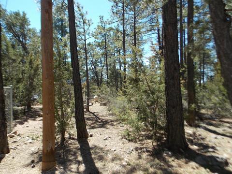 2856 Deer Trl, Overgaard, AZ 85933 photo 39