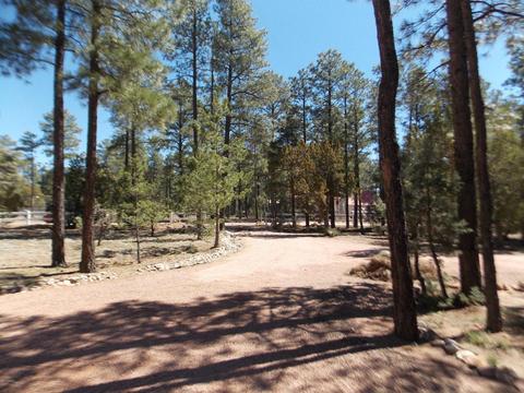 2856 Deer Trl, Overgaard, AZ 85933 photo 7