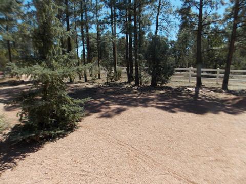 2856 Deer Trl, Overgaard, AZ 85933 photo 12