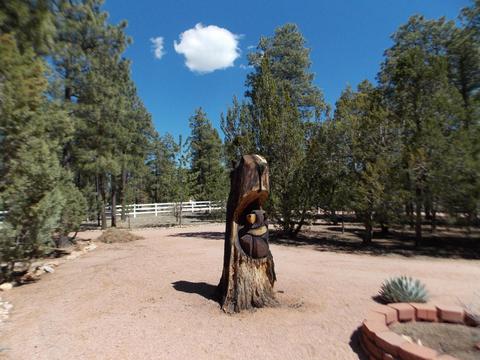 2856 Deer Trl, Overgaard, AZ 85933 photo 11