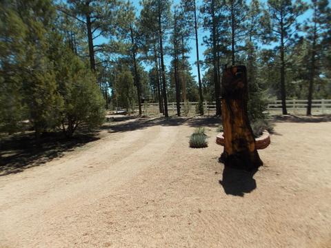 2856 Deer Trl, Overgaard, AZ 85933 photo 10