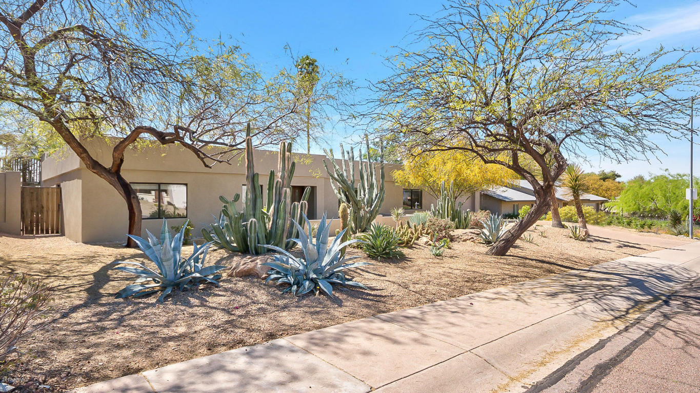 2219 E Myrtle Ave, Phoenix, AZ 85020 photo 3